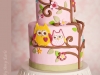 Owl Baby Shower Cake
