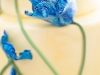 fondant-flinger-blue-poppy-flower-cake-17
