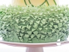 fondant-flinger-blue-poppy-flower-cake-22