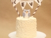 Levi's Owl Smash Cake