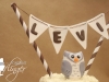 Levi's Owl Smash Cake Topper