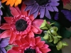 Gerber Daisy Cake 7
