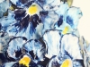 pansy6
