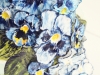 pansy8