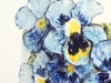 pansy9