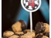dirt-bike-dessert-table-26