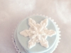 Snowy Owl First Birthday