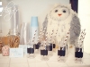 Snowy Owl First Birthday