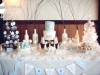 Snowy Owl First Birthday
