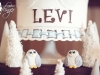 Snowy Owl First Birthday