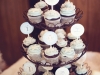 Snowy Owl First Birthday