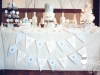 Snowy Owl First Birthday