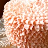 Pink Petal Tip Buttercream Cake
