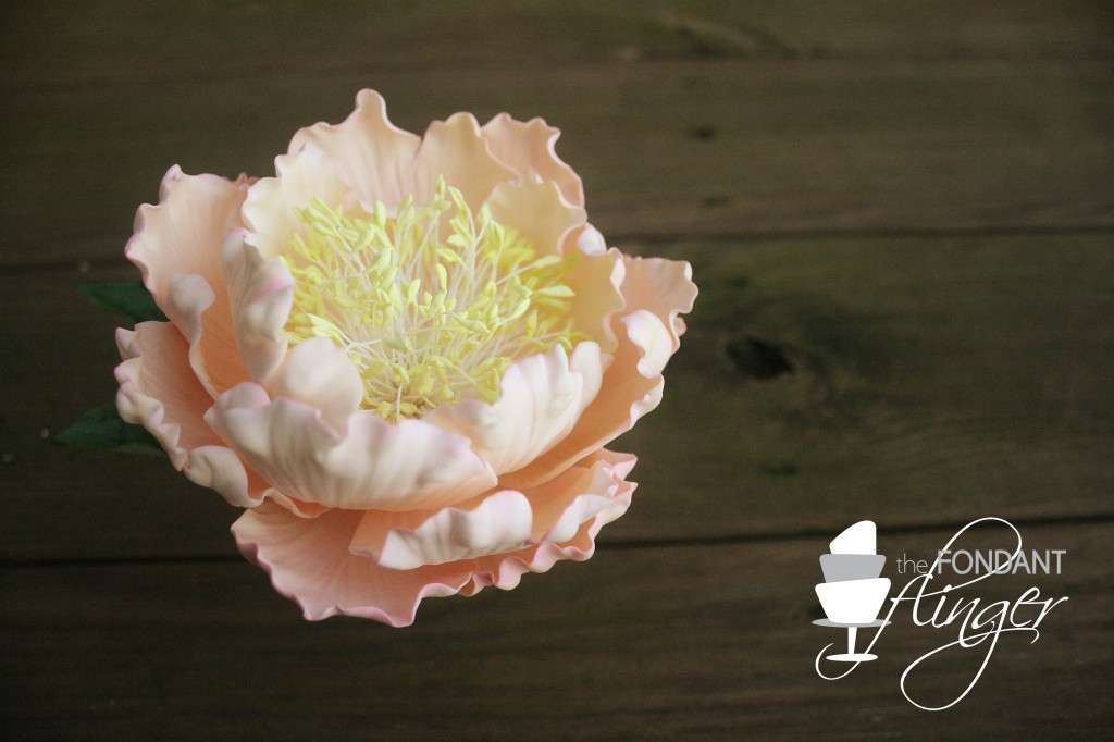 PeonyLeft