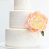 PetalsweetPeony1