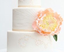 PetalsweetPeony1