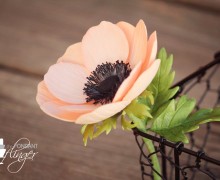 FondantFlingerAnemone2