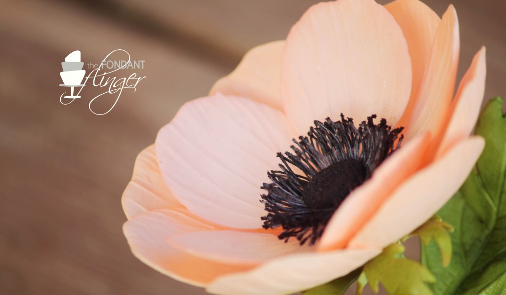 FondantFlingerAnemone3
