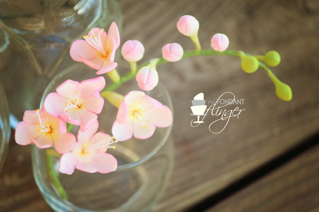 FondantFlingerFreesia